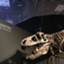 id:dinomama