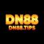 dn88tipscom