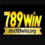 dnx789winorg