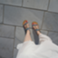 id:doctorlogical