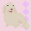 id:dog_milky01