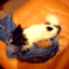 id:dogandfilmreading