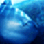 dolphinp