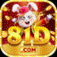 dorg81