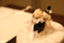 id:dreamcreate