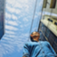 id:duck921
