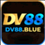 dv88blue