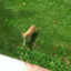id:e5013225