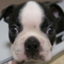 id:eatworld