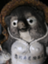 id:ebisuya81