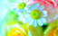 id:effor-t
