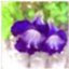 id:eiwa6000