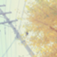 id:electron0429