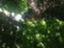 id:emptynames