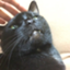 id:emusute