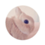 id:etal_p