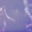 id:eurekachan