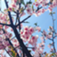 id:exmt-1or8