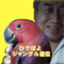 id:fBQbWoJm6sm4IZb