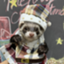 id:ferret-traveller