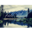 id:fieldmarsh