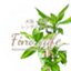 id:finocafe