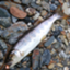 id:fishingandcamping