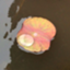 id:flotte