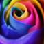 id:flowerinthe