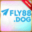 fly88dog