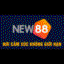 fnew88tin