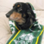 id:footballgift