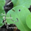 id:forestgardening