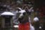 id:foxy-kodai