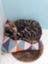 id:fptearoom