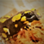 id:fugu133