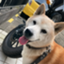 id:fukkawa8686