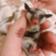id:fukumomomama