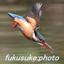 id:fukusuke-photo
