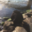 id:fum03
