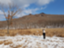 id:fumikotravel