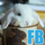 id:futurebase