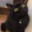 id:g-nharumiya