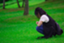 id:g021j018