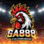 ga888monster