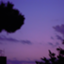 id:garden338
