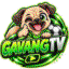 gavangtvnews