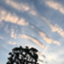 id:gfxw