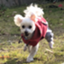 id:gomayume