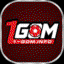 gominfo11